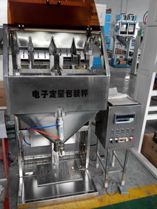 包装机 搬运码垛机器人